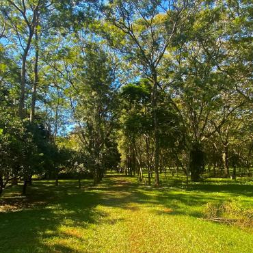7 Hectáreas de Naturaleza pura