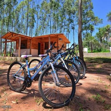 paseos en bici por el bosque