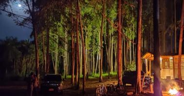 el bosque y la cabana