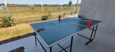 ping pong