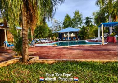 Finca Don Pepe