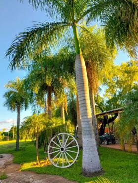 Finca Don Pepe