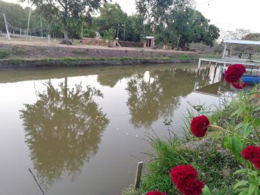 Tajamar para pesca