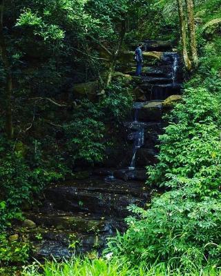 Arroyo