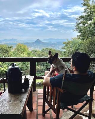 Pet Friendly